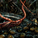 Image for article titled Intense graphic novel about insects is like Dr. Seuss meets Darwin